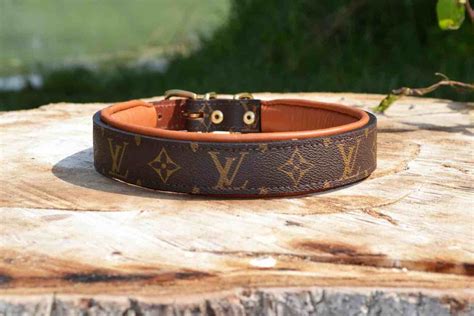 collar dog louis vuitton|louis vuitton dog collar small.